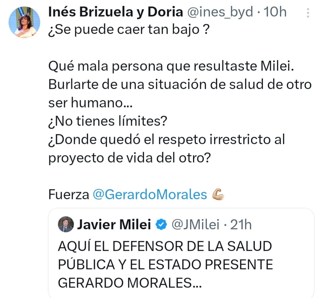 Inés Brizuela y Doria contra Milei: 