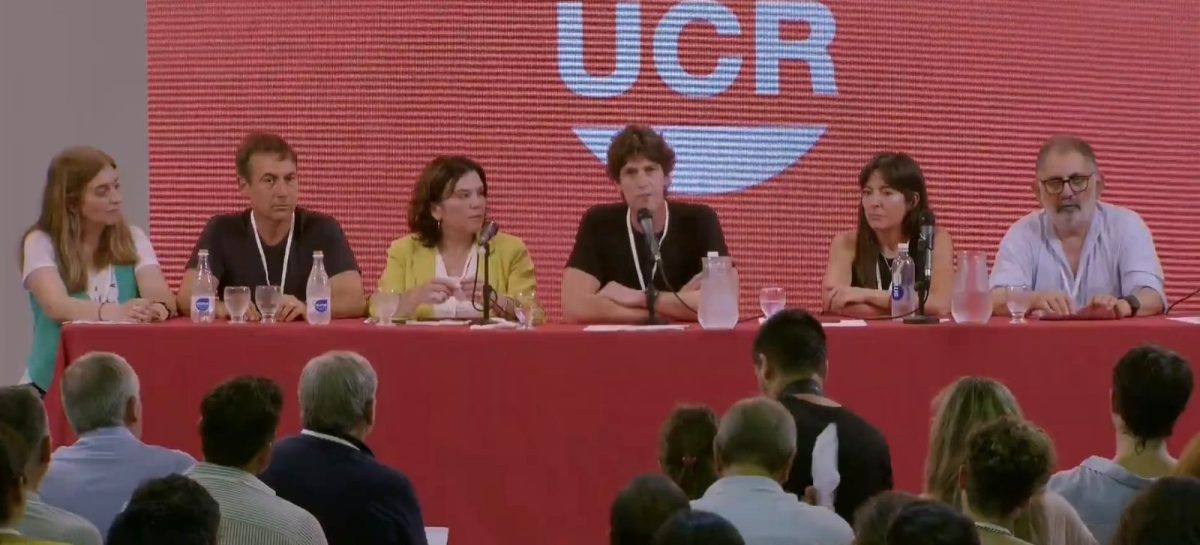 Inés Brizuela y Doria, elegida n°2 del Comité Nacional de la UCR.