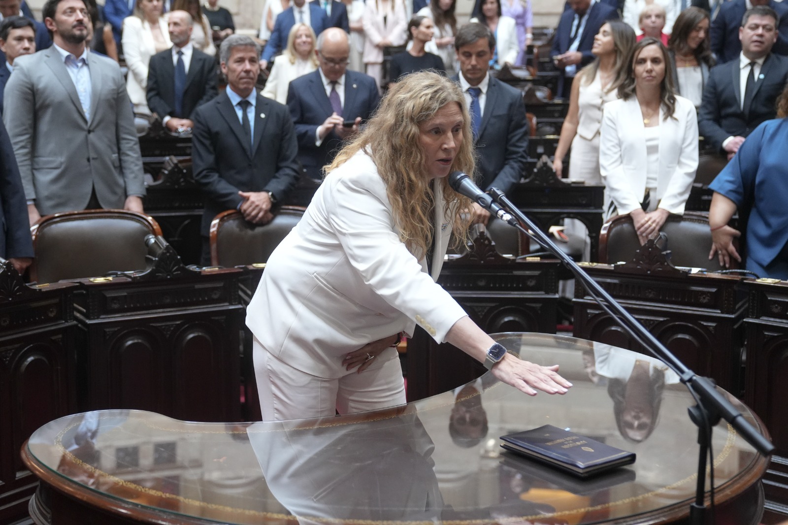Gabriela Pedrali juró como Diputada Nacional y le recordo a los Milei la causa coimas y el 3%.