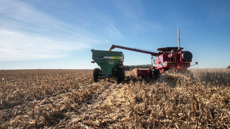 Milei beneficia a los que mas tienen. El Gobierno bajó las retenciones para el campo